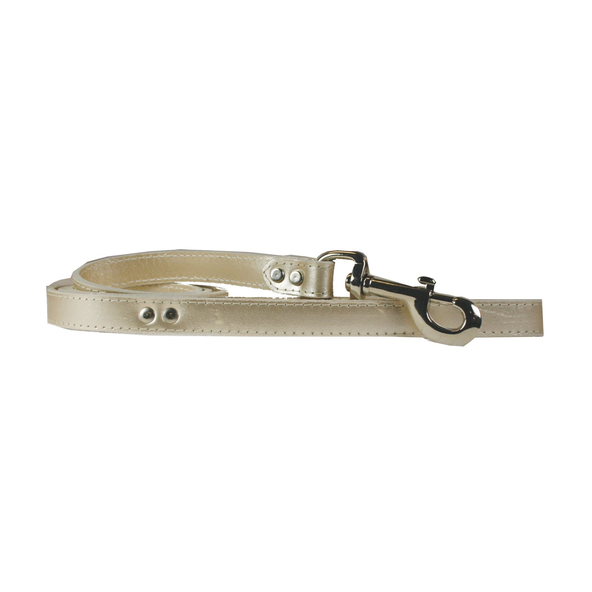 Metallic Platinum Leash