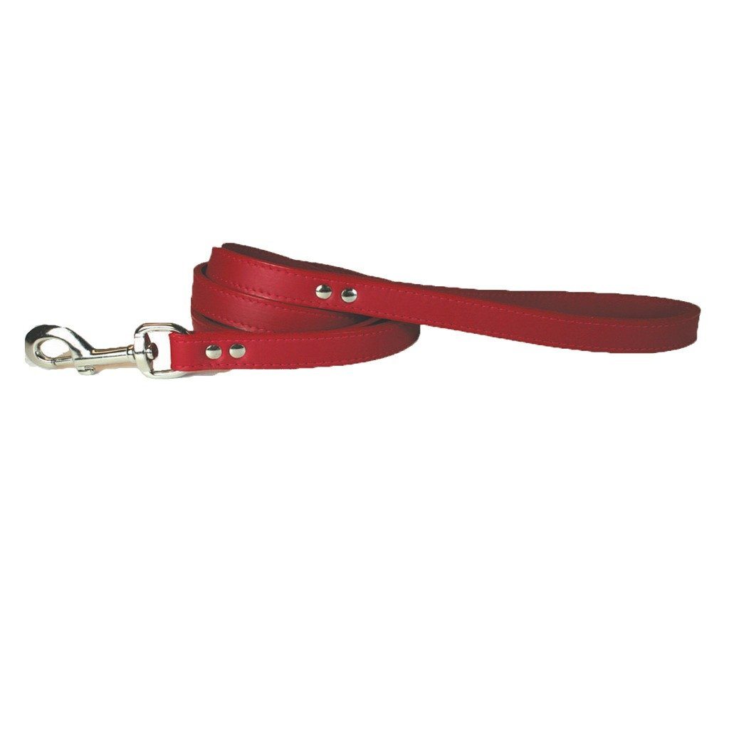Red Leather Pet Leash